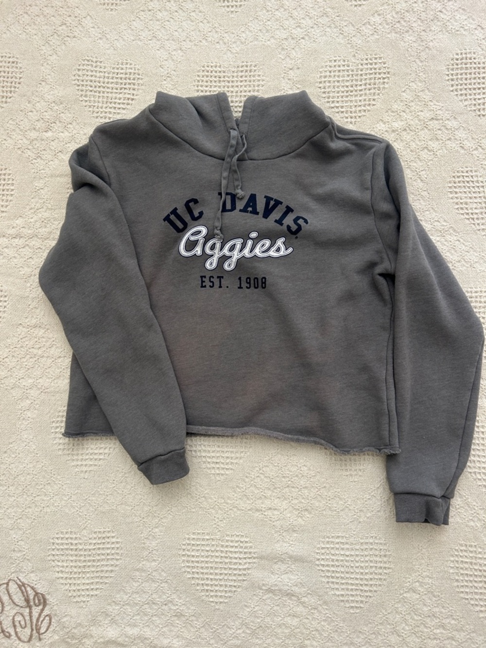 UC Davis Aggie Cropped Style Hoodie